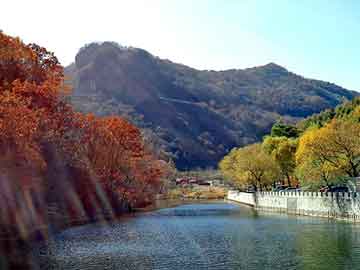 澳门二四六天天彩图库，滨江食堂承包